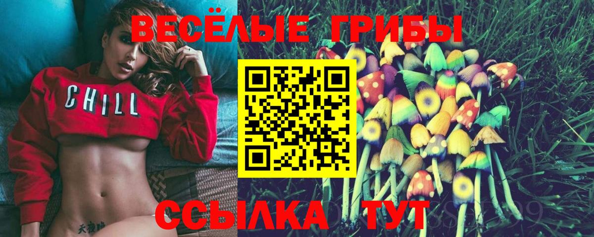 Галлюциногенные грибы Psilocybe  Вход с VPN  Галлюциногенные грибы мухоморы  Приморско-Ахтарск 