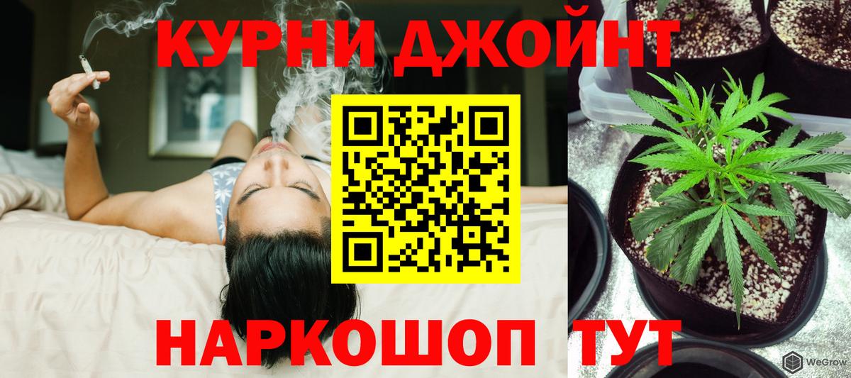 Каннабис планчик  Марихуана сатива  МАРИХУАНА конопля  Вход с VPN  Бошки Шишки гибрид  Приморско-Ахтарск 